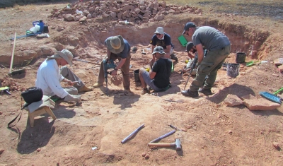 Museu de Paleontologia divulga novos achados de fósseis no Oeste Paulista