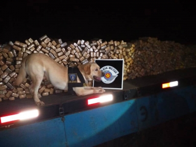 Polícia Militar apreende quase 700 kg de maconha, na SP-294
