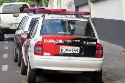 Cães morrem após ataque de abelhas