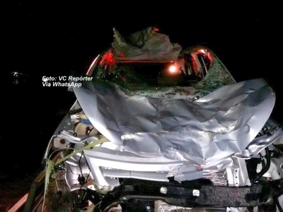 Motorista morre ao atropelar vaca na rodovia