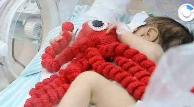 Árvore da Cidadania: ONG cultiva voluntariado em 20 projetos sociais de Marília e Pompeia