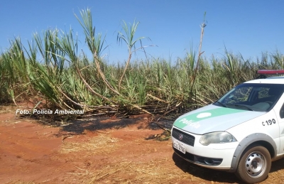 Queimada: dono de fazenda na região é multado em mais de R$ 23 mil 