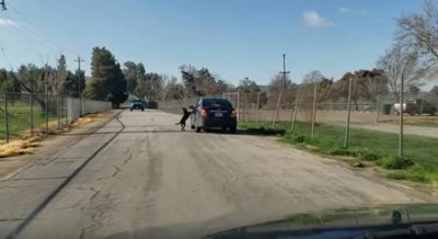 Cão "não aceita ser abandonado" e segue o dono correndo atrás do carro