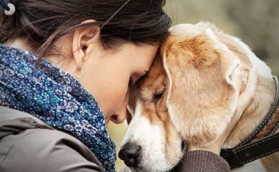 Posso deixar minha herança para o meu pet? Como funciona a lei no Brasil