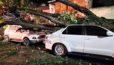 Temporal causa estragos em cidades da região