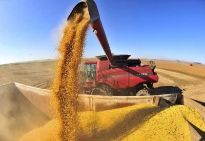 Conab estima safra de soja do Brasil em recorde