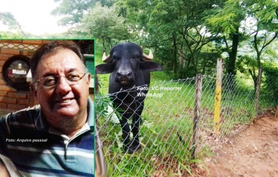 Vizinhos afirmam que búfalo já ameaçava pessoas. Vítima de tragédia será sepultada nesta terça