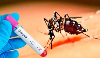 Cidades da região registram novas mortes por suspeita de dengue