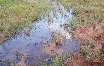 Marília vai lançar em breve projeto para recuperar e proteger as nascentes