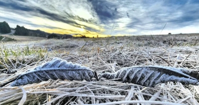 Na véspera da chegada do inverno, SC amanhece com -3ºC e geada