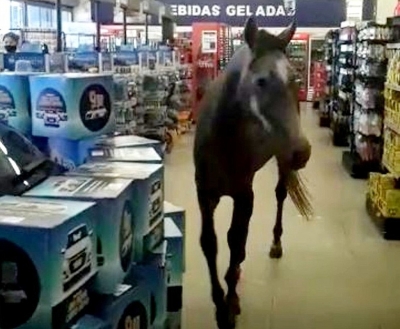 Cavalo entra em supermercado e chama atenção de clientes