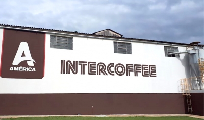 Com foco na excelência e qualidades dos grãos, Intercoffee se destaca no mercado cafeeiro