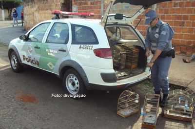 Polícia Ambiental divulga resultado de operações em Marília e região