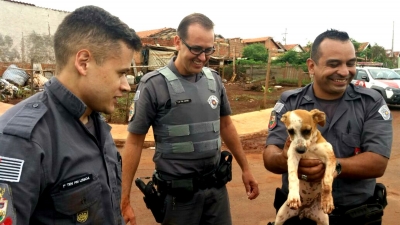 Cão é resgatado pela PM após cair em buraco durante operação contra o tráfico de drogas