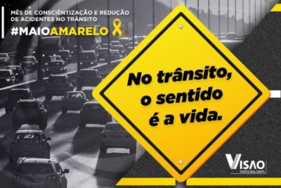 Motorista capota carro e morre ao tentar desviar de cavalo atropelado em rodovia