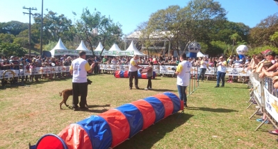 Estimacão acontece neste domingo em Marília 