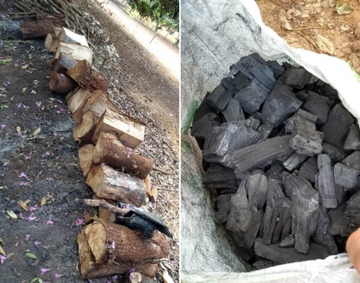 Polícia constata comércio ilegal de carvão