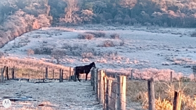 Prepare-se!! O frio deve aumentar e já causa prejuízos na região