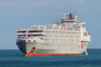 Navio com 43 pessoas e quase 6 mil vacas afunda no Japão