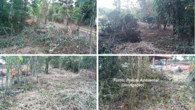 Polícia constata supressão de vegetação nativa 