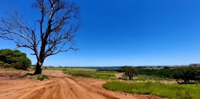 Loteamento Santa Madalena: vendas superam expectativas e obras já começaram