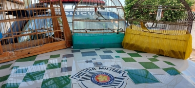 Criador leva multa de R$ 1,5 mil por manter aves em cativeiro