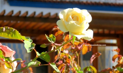 Primavera começa hoje, com muito calor