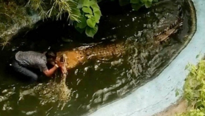 Idoso é atacado em parque após achar que crocodilo de verdade era de plástico