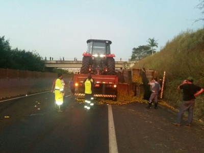 Caminhão tomba e espalha carga de laranjas em rodovia