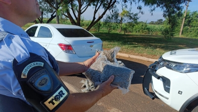 Polícia Rodoviária apreende carregamento de 