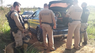 PRF apreende 585 quilos de maconha. Perseguição só terminou no Paraná