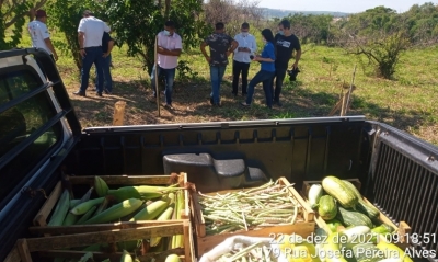 AgroFloresta doa produção de alimentos ao projeto Vida Nova em Marília