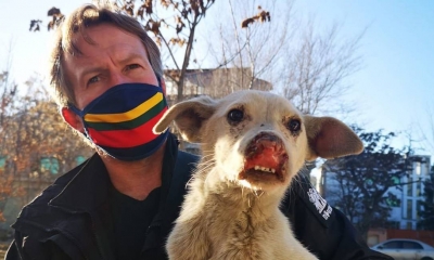 Ex-militar consegue retirar quase 170 animais de Cabul, mas equipe da sua ONG fica para trás