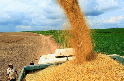 Safra de grãos deve ser maior que a de 2016