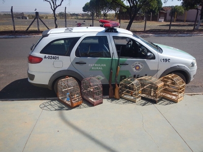 Polícia apreende arma e resgata pássaros