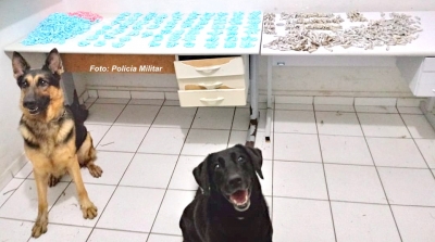 Polícia Militar apreende mais de R$ 50 mil em drogas na zona norte