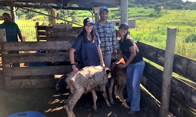 Prefeitura e Unimar firmam parceria e dão início ao Projeto Unicampo