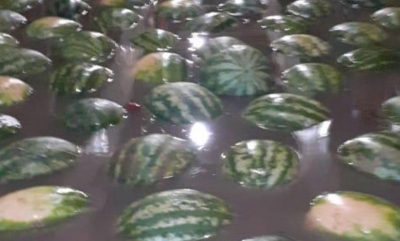 Chuva forte causa alagamento e prejuízos na Ceagesp