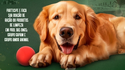 Marília Shopping promove encontro de Golden Retrievers em clima natalino