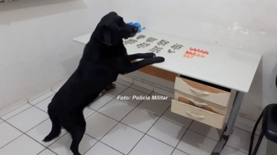 Enfim a maioridade! Mas, na cadeia: rapaz é preso por tráfico