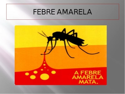 Ministério libera R$ 13,8 milhões para vacinação em cidades com febre amarela