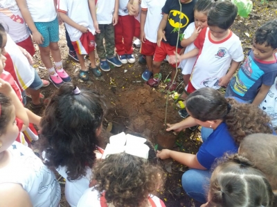 Dia da Árvore tem plantio de mudas doadas pela Entrevias para o Bosque de Marília