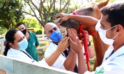 Hospital Veterinário da Unimar é um centro completo para os cuidados e tratamentos de animais