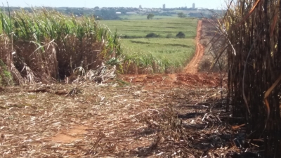 Satélite flagra queimadas irregulares na região