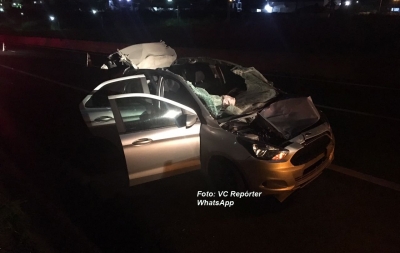 Cavalos na pista causam grave acidente em Marília