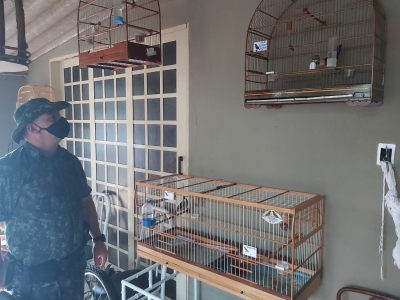 Criador leva de R$ 2 mil por manter aves em cativeiro em Nóbrega