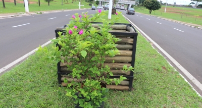 Projeto da Prefeitura proporciona paisagístico sustentável na zona sul de Marília