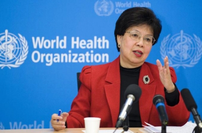 Zika: OMS declara emergência mundial