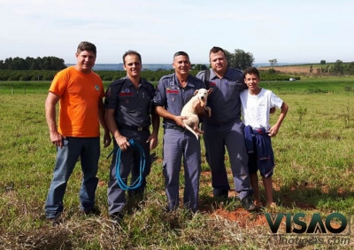 Bombeiros resgatam cão em poço profundo
