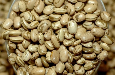 Preço do feijão deve cair já a partir de agosto